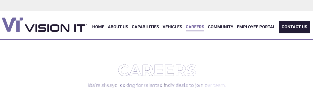 Vision Information Technology Consultants  LLC